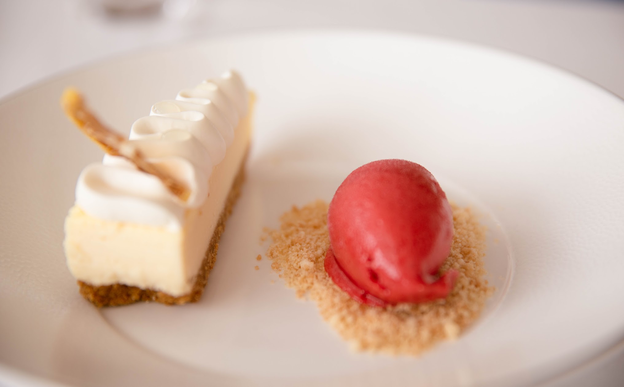 A dessert of cheesecake and sorbet plated at a fine dining table