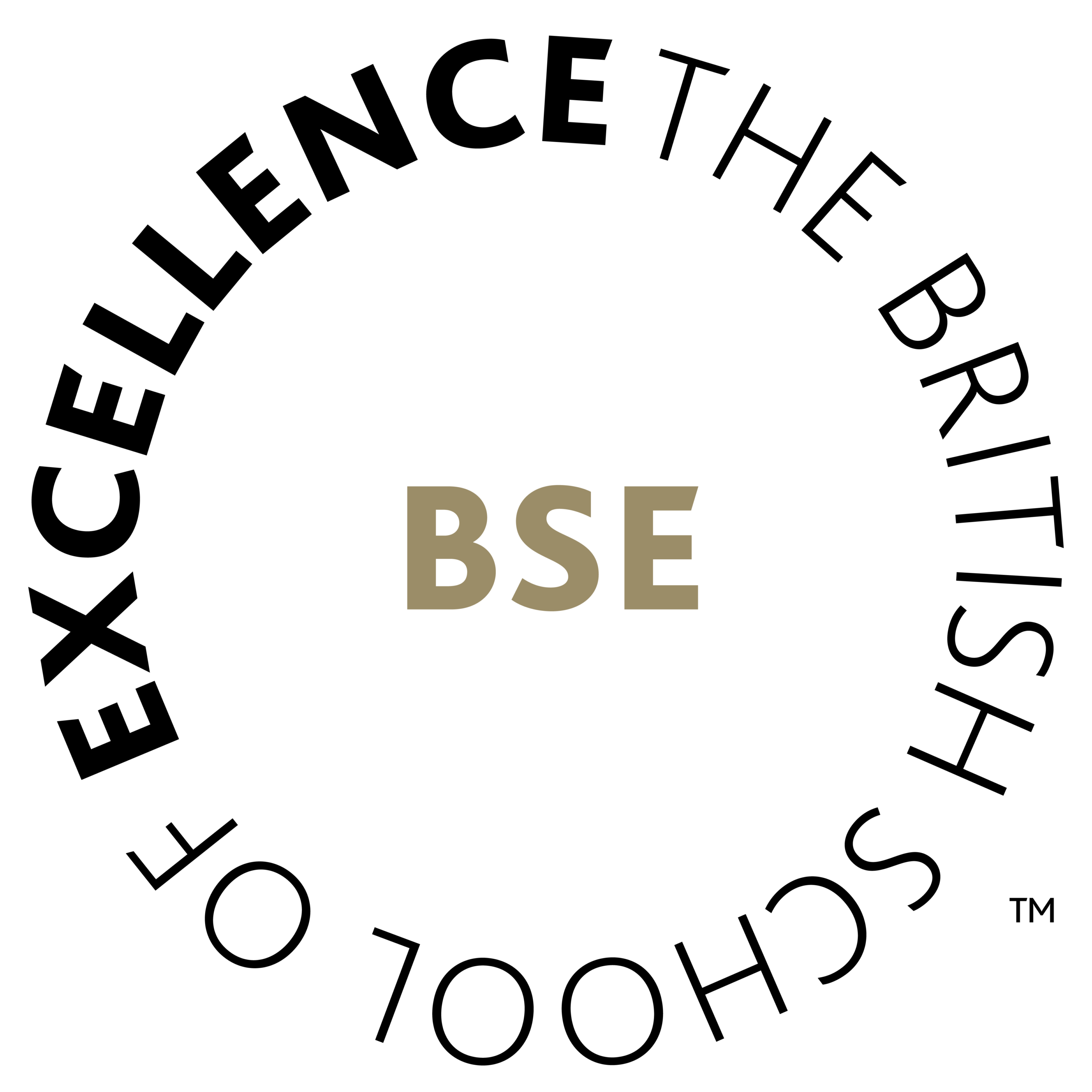 The British School of Excellence logo
