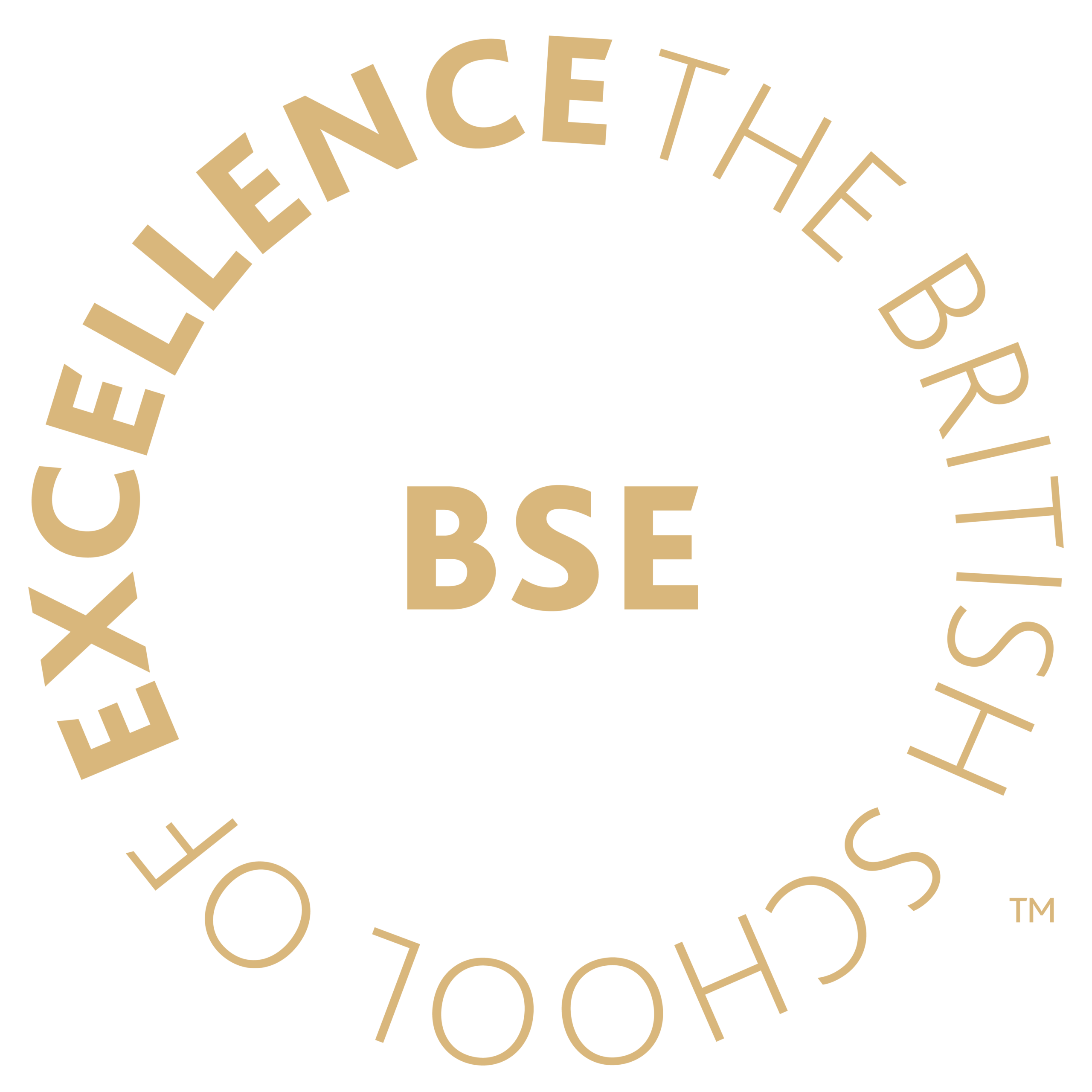 The British School of Excellence