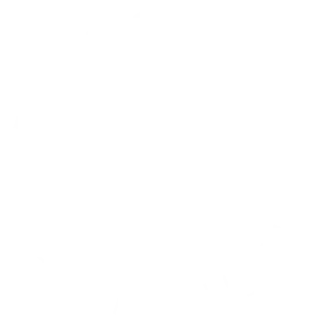 The British School of Excellence logo
